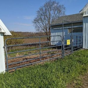 An Evolution of Fence, Part 1 Image